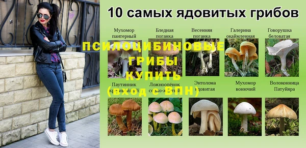 таблы Верея