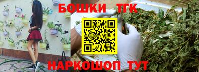 сатива Кингисепп