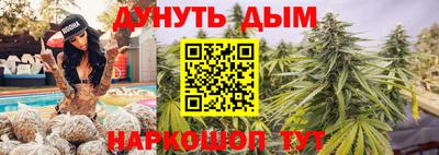сатива Кингисепп