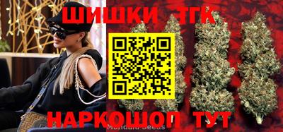 сатива Кингисепп