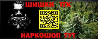 сатива Кингисепп