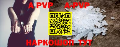 сатива Кингисепп