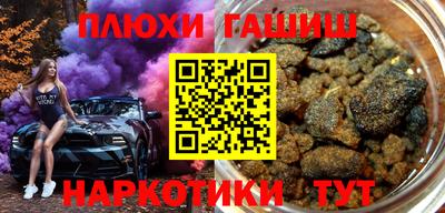 сатива Кингисепп