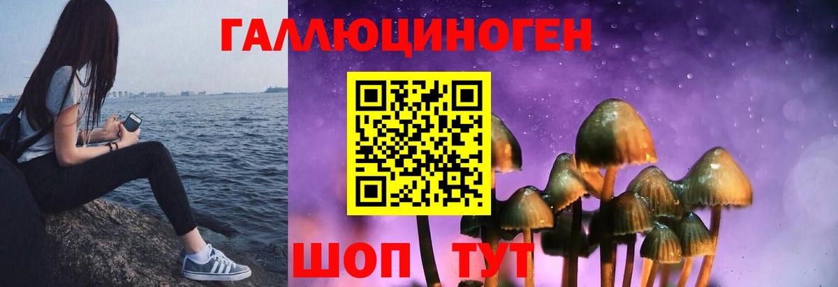 Галлюциногенные грибы Cubensis Буйнакск